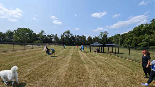 Orange Dog Park